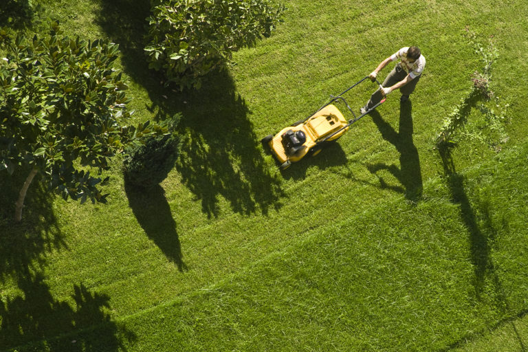 Gartenpflege - Idrizi Hausmeisterservice - Mannheim